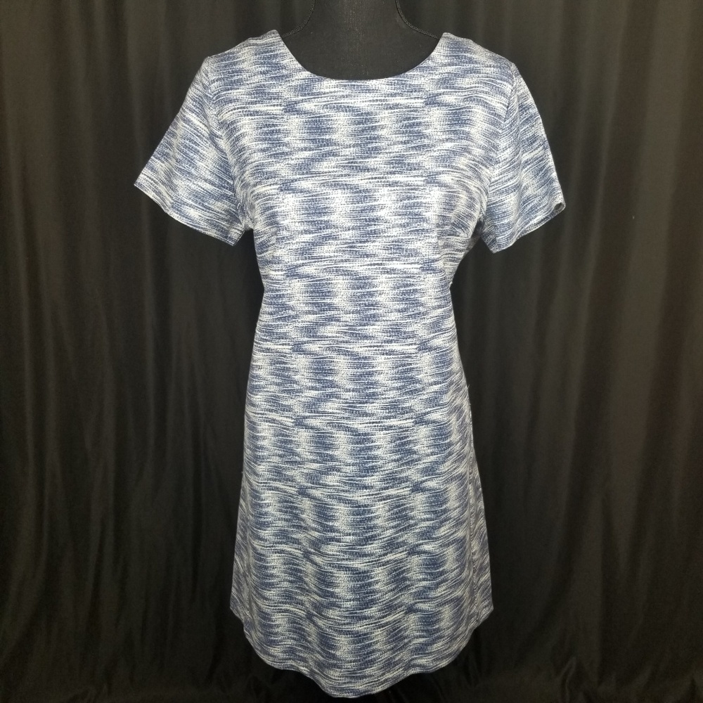 Ann Taylor Loft Dress